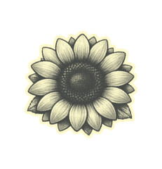 Sunflower Halftone Illustration isolated on transparent background, Generative AI