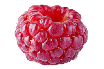 Red Raspberry isolated on transparent background