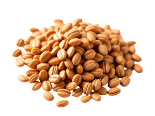 A collection of various nuts arranged neatly on a white surface