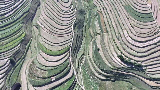 Aerial View of Terraced Agricultural Fields in Gansu, China