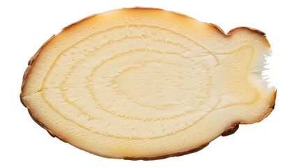 Toasted bread with bite taken out.