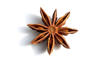 Close-up of star anise spice.