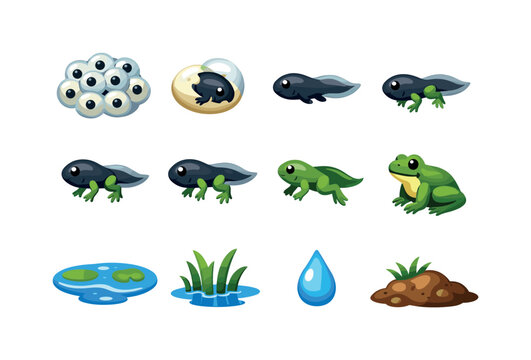 Tadpole」の写真素材 | 19,943件の無料イラスト画像 | Adobe Stock