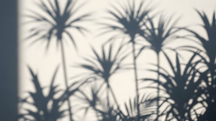 Fototapeta premium Shadows of tropical plant leaves cast on a bright white wall, creating an abstract natural pattern