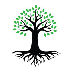 Fototapeta premium vector tree silhouette