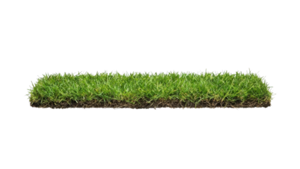 Fresh Green Grass Turf Patch Isolated on White Background