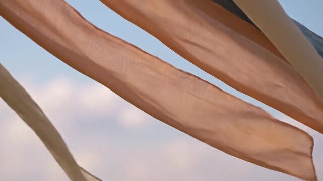 Makar Sankranti kite tail movement creating festive Indian celebration atmosphere