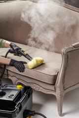 Professional Steam Cleaning Sofa Upholstery for Stain Removal Service Banner