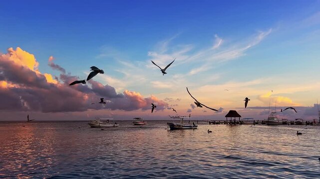 Mayan Riviera seagulls flying over sea at colorful tropical sunset