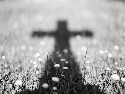 Sombra de una cruz proyectada sobre hierba y flores