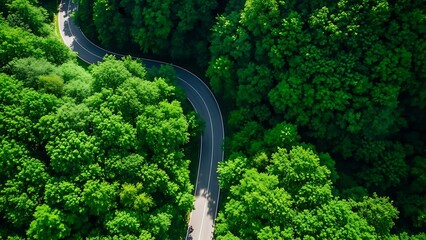Aerial view of a winding road through forest