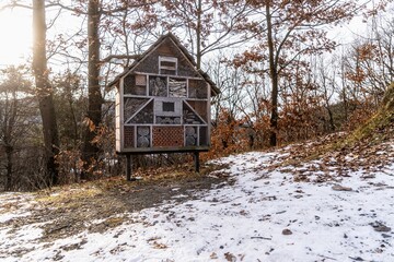 Drewniany domek dla owadów ustawiony na palach w zimowym lesie, element ochrony przyrody i bioróżnorodności. © Henryk Niestrój