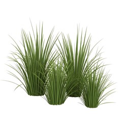 Vertical Calm: A Study in Green Texture