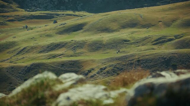 Montenegro landscape showcasing nature views mountains and grass swaying on a stong wind