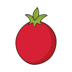 A vibrant pomegranate with ruby-red seeds, glossy skin, and juicy sweetness, symbolizing health, vitality, and nature&rsquo;s rich, tangy flavor in every bite.
