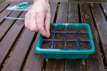 Sowing seeds in a propagator by hand