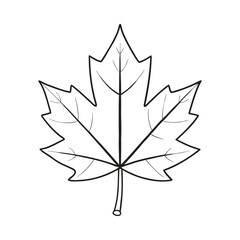 Obraz premium Vibrant red maple leaf glowing with autumn warmth, delicate veins and crisp edges capturing fall’s beauty, seasonal change, and natural elegance on a clean, serene background. 