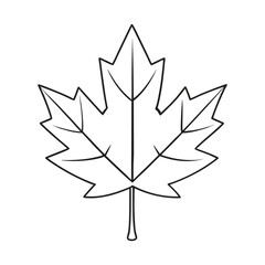 Obraz premium Vibrant red maple leaf glowing with autumn warmth, delicate veins and crisp edges capturing fall’s beauty, seasonal change, and natural elegance on a clean, serene background. 