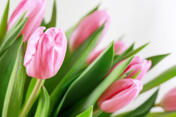 Fototapeta premium Bouquet of pink tulips, postcard motif, copy space.