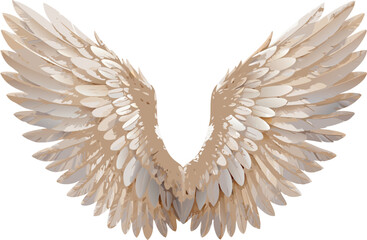 Fototapeta premium Pair of Elegant Stylized Angel Wings with Light Brown Feathered Texture, Symmetrically Spread