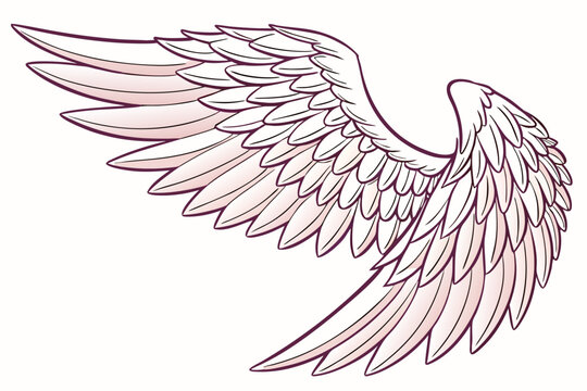 Stylized Single Wing with Light Pink Gradient Feathers and Dark Purple Outlines, Curving Upwards