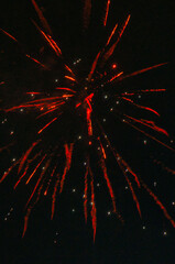 Spektakularny nocny pokaz fajerwerków na ciemnym niebie z wielobarwnymi smugami. © Pol Badger