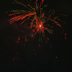 Spektakularny nocny pokaz fajerwerków na ciemnym niebie z wielobarwnymi smugami. © Pol Badger