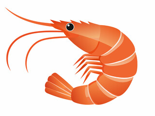 Obraz premium a vibrant orange shrimp with long antennae and a curved body
