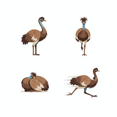 Obraz premium Emu: The Unique Flightless Bird of Australia