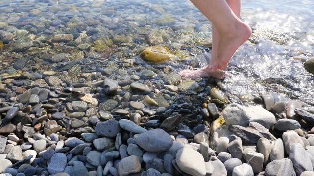 Barefoot woman cautiously walk at shallow water of shingle beach, sunny summer weather. Tracking closeup shot, calm crystal water and rounded pebble stones. Black Sea shore at Sochi