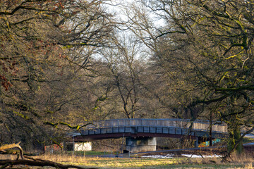 Fototapeta premium Dessau, Germany. 01.17.2026 Wooden Pedestrian Bridge in a Winter Forest in Dessau