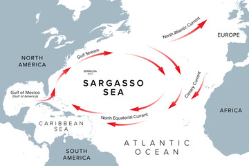 Sargasso Sea, region of Atlantic Ocean, gray map. Sea without land boundaries and ocean gyre, formed and bounded by Gulf Stream, North Atlantic Current, Canary Current, and North Equatorial Current.