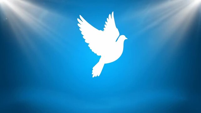 Animated white dove flying on blue background with spotlights