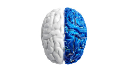 Human Brain with One Half as White Anatomical Structure and Other Half as Blue Circuit Board