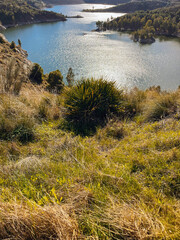 Overlooking resevoir from a slope with grasses, green plants and trees on a sunny day. Andalusia, Spain.