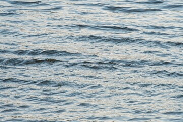 A serene, deep-blue-green water scene with subtle ripples and rightward motion From an elevated angle, showing foreground to background depth under natural lighting, possibly early morning or late a