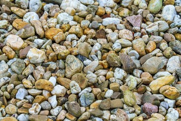 Naturalna tekstura powierzchni skalnej porośniętej zielonym mchem i suchymi porostami. Chropowata faktura kamienia z detalami organicznej roślinności w zbliżeniu