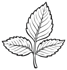 Detailed vector outline of a leaf sprig, ideal for nature-themed designs.