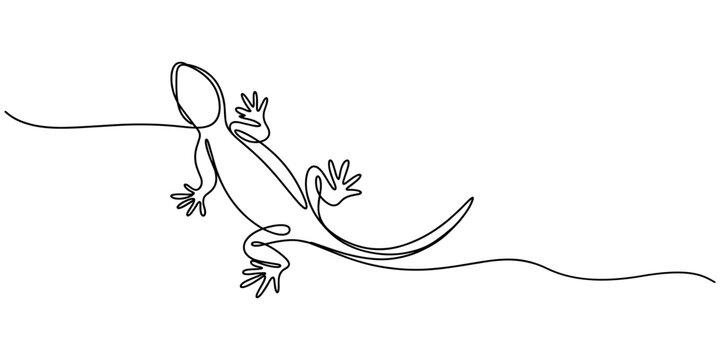 One continuous line drawing of lizard vector illustration. Unravel the secrets of their scaly skin, minimalist concept style, A realistic lizard drawn with a single continuous line Chameleon.