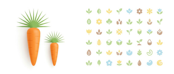 set of leaves with a prominant carrot