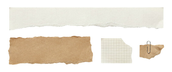Collection of mixed torn paper pieces including white paper strip, kraft paper, grid note and small...