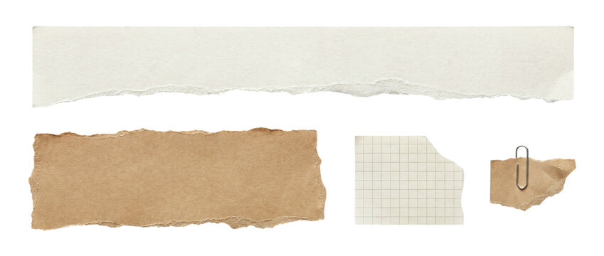 Collection of mixed torn paper pieces including white paper strip, kraft paper, grid note and small scrap with paperclip on transparent background