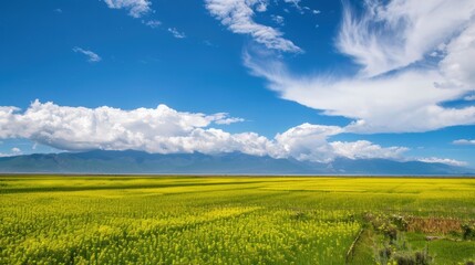 Obraz premium Capture the essence of spring with these stunning garden scenery pictures, featuring colorful tulips, fragrant roses, delicate cherry blossoms, and lush green lawns under warm sunlight. Ideal for home