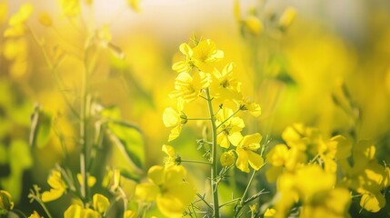 Obraz premium Capture the essence of spring with these stunning garden scenery pictures, featuring colorful tulips, fragrant roses, delicate cherry blossoms, and lush green lawns under warm sunlight. Ideal for home