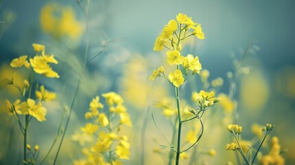 Obraz premium Capture the essence of spring with these stunning garden scenery pictures, featuring colorful tulips, fragrant roses, delicate cherry blossoms, and lush green lawns under warm sunlight. Ideal for home