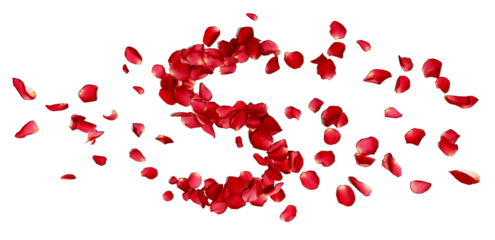 Red Rose Petals Forming The Letter S alphabet character isolated on a transparent background