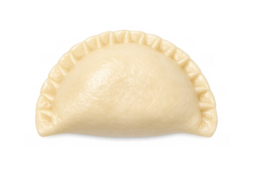 Glowing dumpling illustration for culinary design and recipes