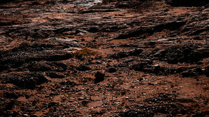 On the shores of the Atlantic Ocean, Morocco