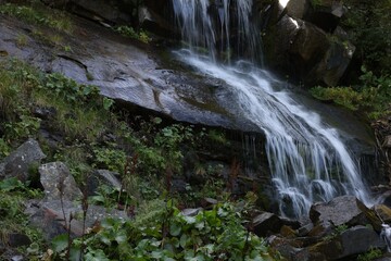 Picturesque view of mountain waterfall and green plants