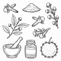 Clove Spice Illustration Set &ndash; Hand‑Drawn Herbal Sketch Collection